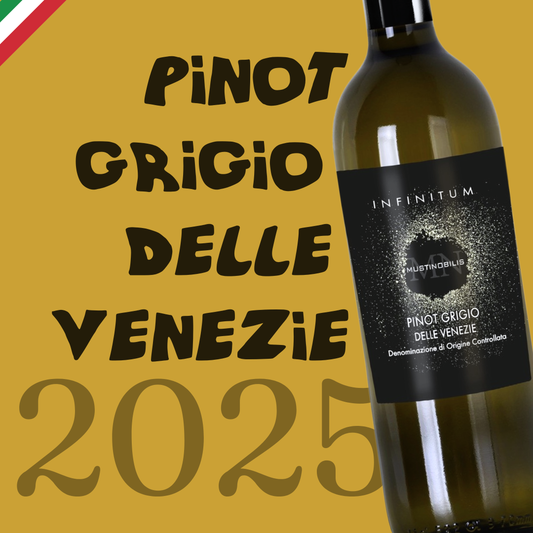 DeAngeli Infinitum Pinot Grigio Delle Venezie 2025
